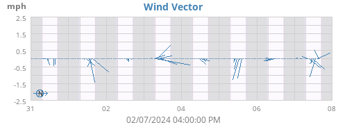 Wind Vector